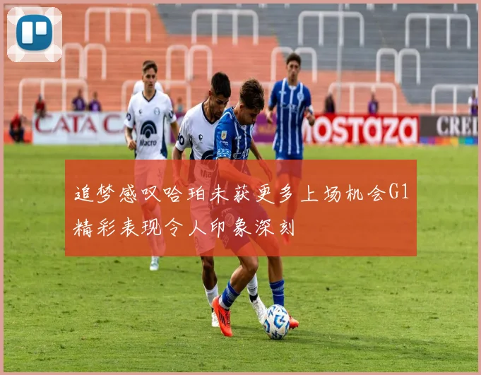 追梦感叹哈珀未获更多上场机会G1精彩表现令人印象深刻