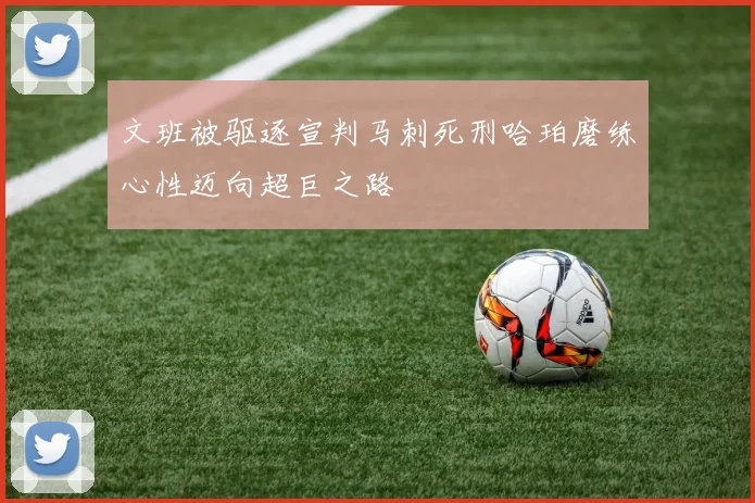 文班被驱逐宣判马刺死刑哈珀磨练心性迈向超巨之路